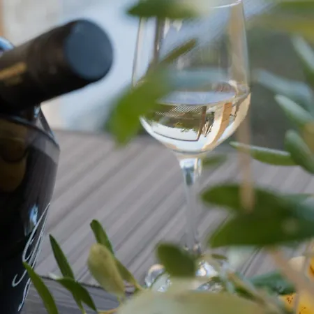 Amare فيلة Donji Zemunik